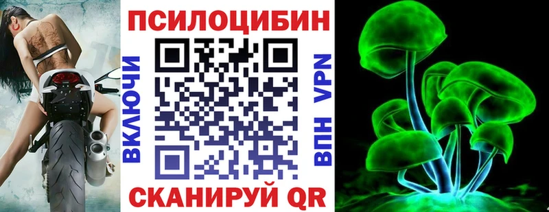 Купить  Александровское  Галлюциногенные грибы Psilocybe 