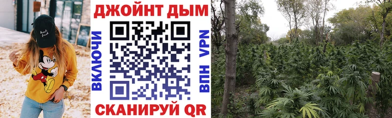 Купить закладки  Александровское  Бошки Шишки тримм 